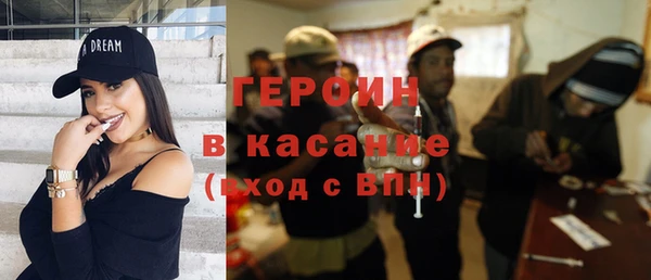 индика Алексин
