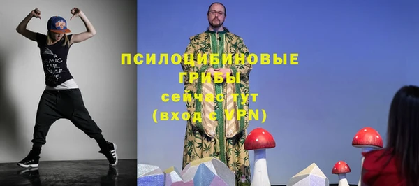 шишки Заводоуковск
