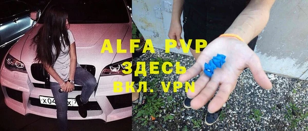 индика Алексин