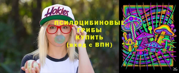 индика Алексин