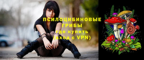 дмт Абаза