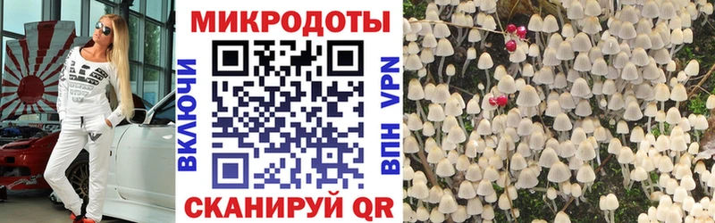 Галлюциногенные грибы ЛСД  blacksprut как зайти  Приволжск 
